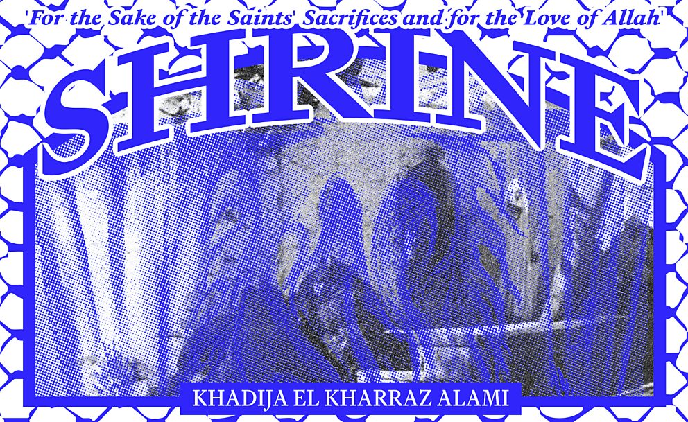 Schermafbeelding 2026 01 21 om 12 32 26